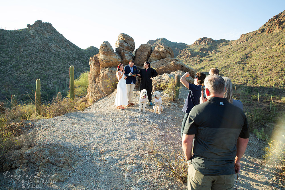 Wedding Party on the Foothills in Tucson AZ