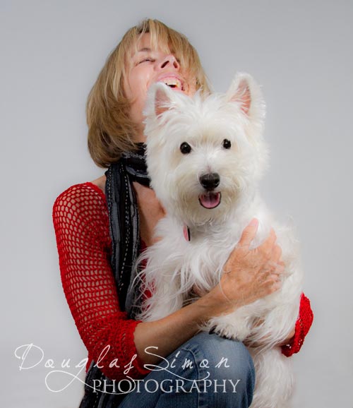 West Highland Terrier Portrait