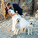 Tucson Arizona Location Wedding